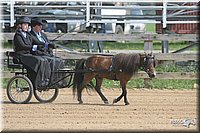 4H-1st-Show-2006-0735.jpg