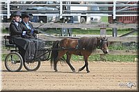 4H-1st-Show-2006-0735.jpg