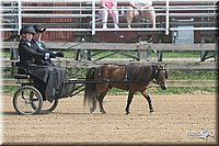 4H-1st-Show-2006-0736.jpg