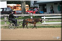 4H-1st-Show-2006-0737.jpg