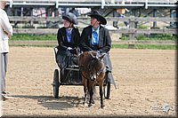 4H-1st-Show-2006-0739.jpg