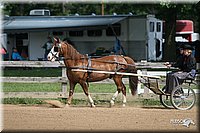 4H-1st-Show-2006-0741.jpg