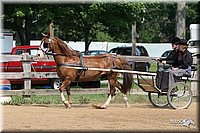 4H-1st-Show-2006-0743.jpg