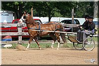 4H-1st-Show-2006-0744.jpg