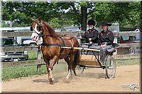 4H-1st-Show-2006-0747.jpg