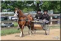 4H-1st-Show-2006-0748.jpg