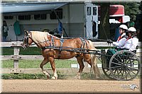 4H-1st-Show-2006-0750.jpg