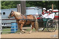 4H-1st-Show-2006-0752.jpg