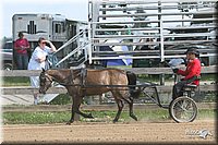 4H-1st-Show-2006-0757.jpg