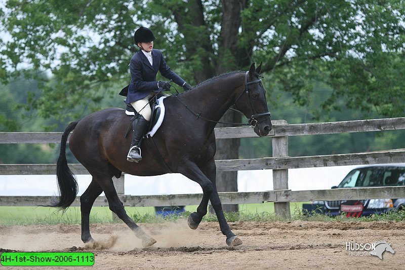 4H-1st-Show-2006-1113.jpg