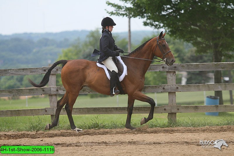 4H-1st-Show-2006-1116.jpg