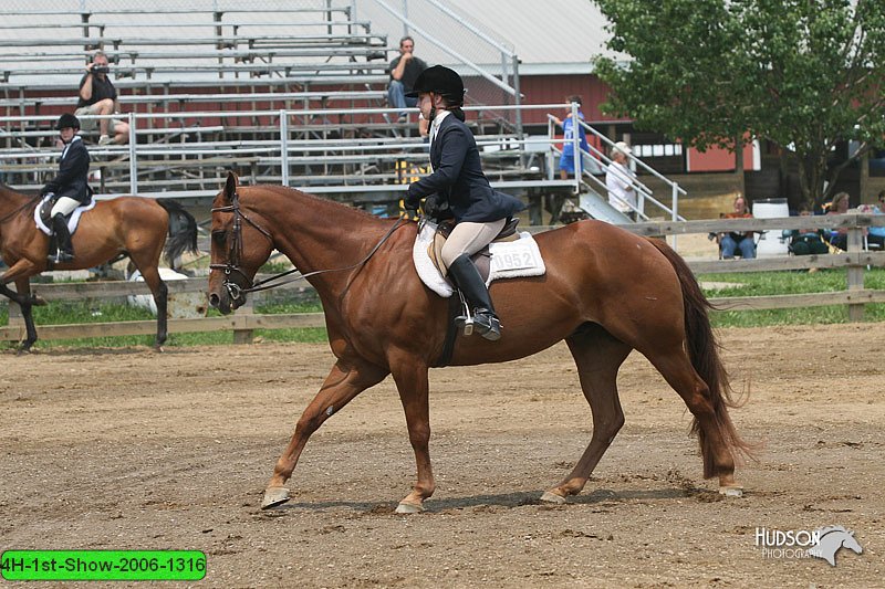 4H-1st-Show-2006-1316.jpg
