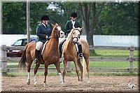 4H-1st-Show-2006-1632.jpg