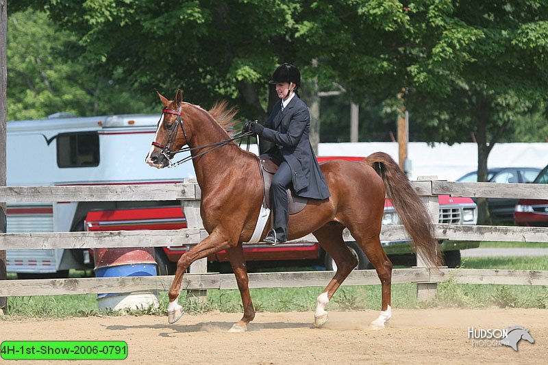 4H-1st-Show-2006-0791.jpg