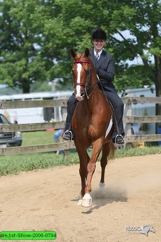 4H-1st-Show-2006-0794.jpg