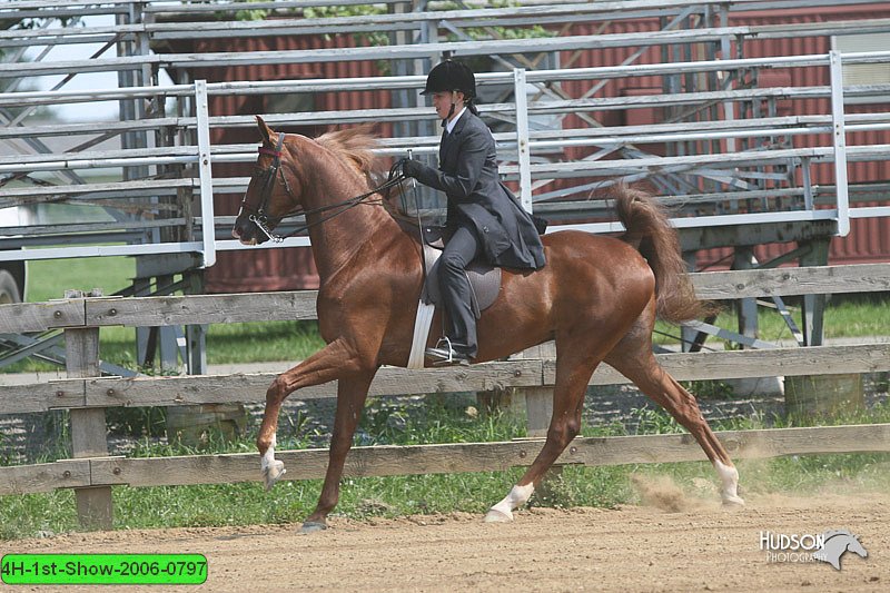 4H-1st-Show-2006-0797.jpg