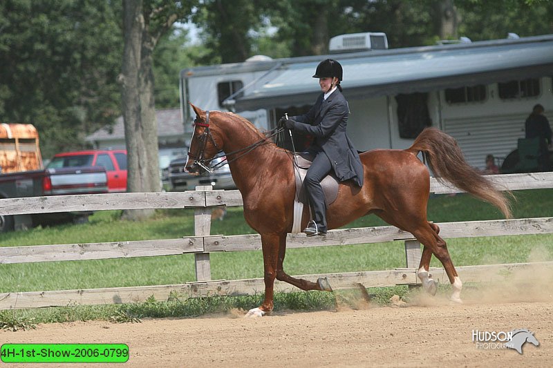 4H-1st-Show-2006-0799.jpg