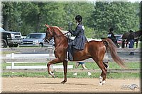 4H-1st-Show-2006-0789.jpg