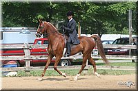 4H-1st-Show-2006-0790.jpg