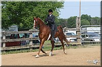 4H-1st-Show-2006-0792.jpg