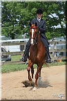 4H-1st-Show-2006-0795.jpg