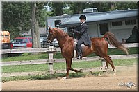 4H-1st-Show-2006-0799.jpg