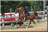 4H-1st-Show-2006-0800.jpg