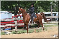 4H-1st-Show-2006-0801.jpg