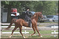 4H-1st-Show-2006-0802.jpg