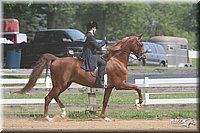 4H-1st-Show-2006-0803.jpg