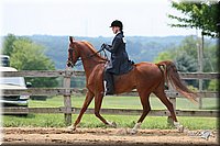 4H-1st-Show-2006-1174.jpg