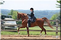 4H-1st-Show-2006-1175.jpg