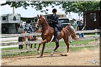 4H-1st-Show-2006-1178.jpg