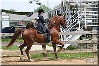 4H-1st-Show-2006-1180.jpg