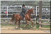 4H-1st-Show-2006-1182.jpg