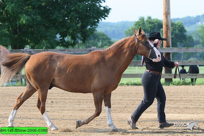 4H-1st-Show-2006-0388.jpg