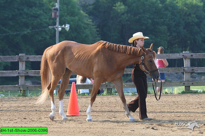 4H-1st-Show-2006-0396.jpg