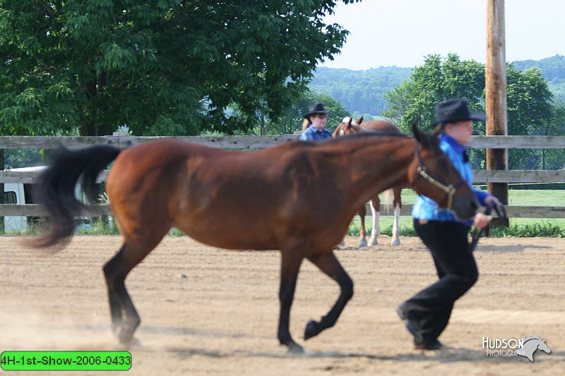 4H-1st-Show-2006-0433.jpg