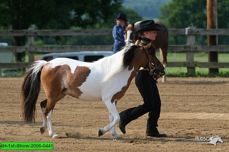 4H-1st-Show-2006-0441.jpg