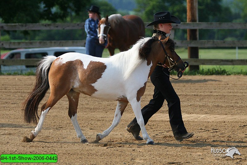 4H-1st-Show-2006-0442.jpg