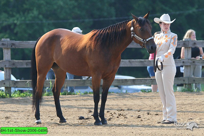 4H-1st-Show-2006-0496.jpg