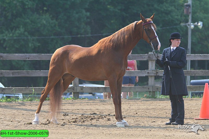 4H-1st-Show-2006-0578.jpg