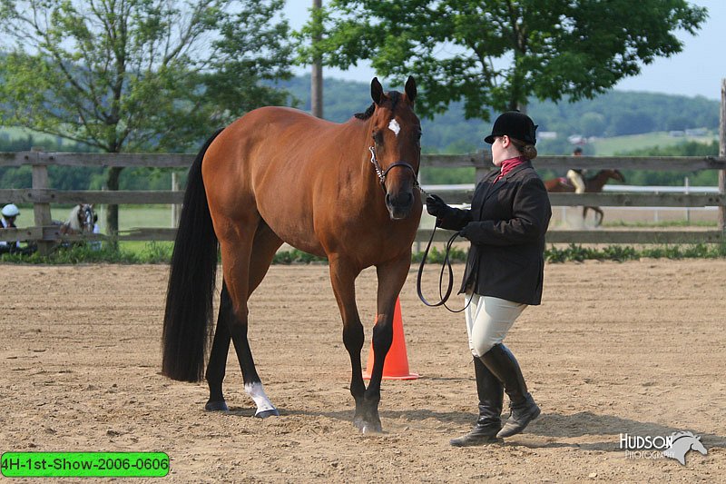 4H-1st-Show-2006-0606.jpg