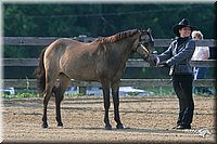 4H-1st-Show-2006-0334.jpg