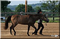 4H-1st-Show-2006-0339.jpg