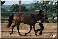 4H-1st-Show-2006-0340.jpg