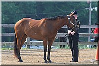 4H-1st-Show-2006-0346.jpg