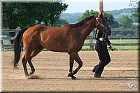 4H-1st-Show-2006-0347.jpg