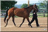 4H-1st-Show-2006-0348.jpg