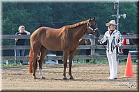 4H-1st-Show-2006-0353.jpg